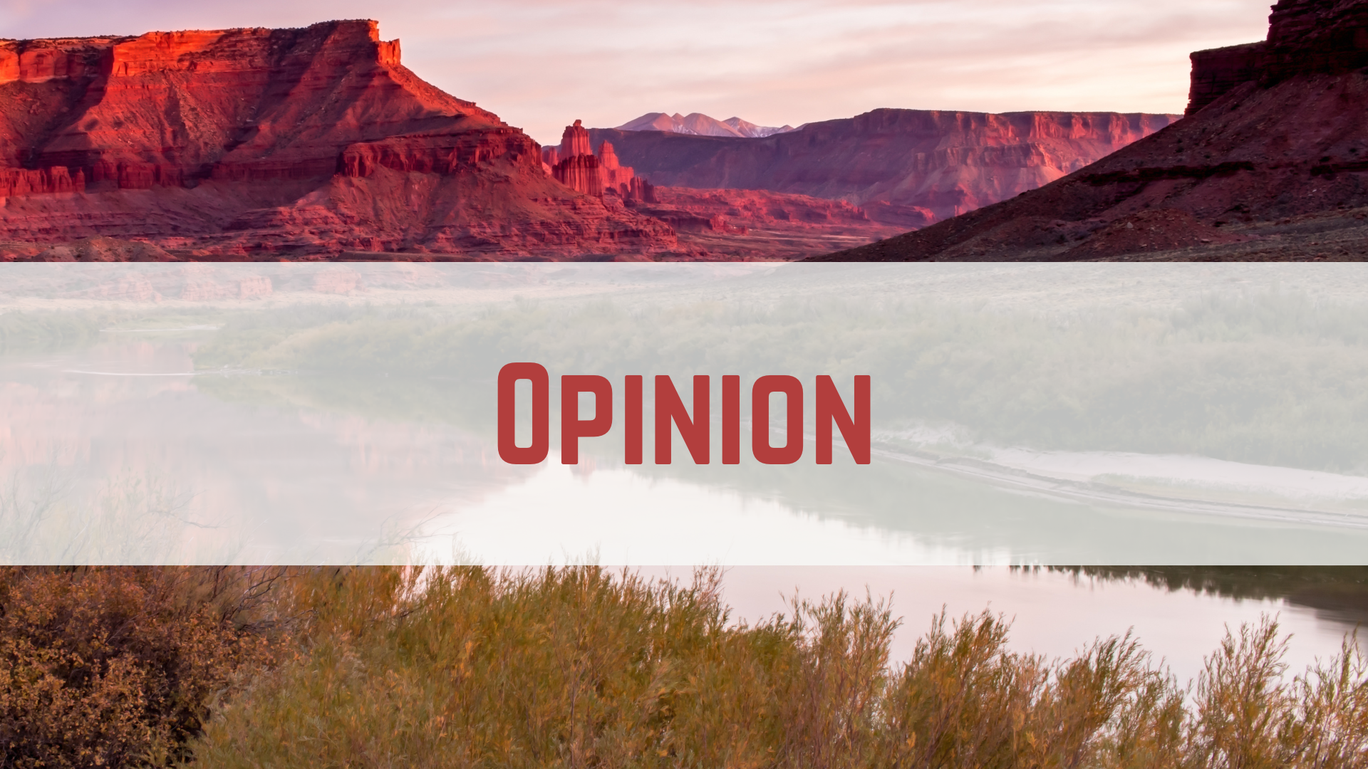 Opinion header