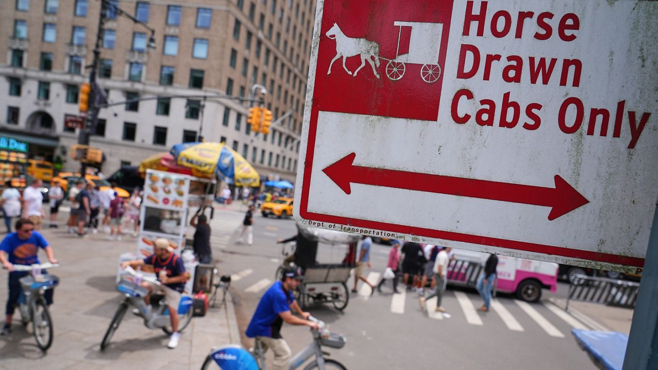Central park horse carriages ap26169664895109