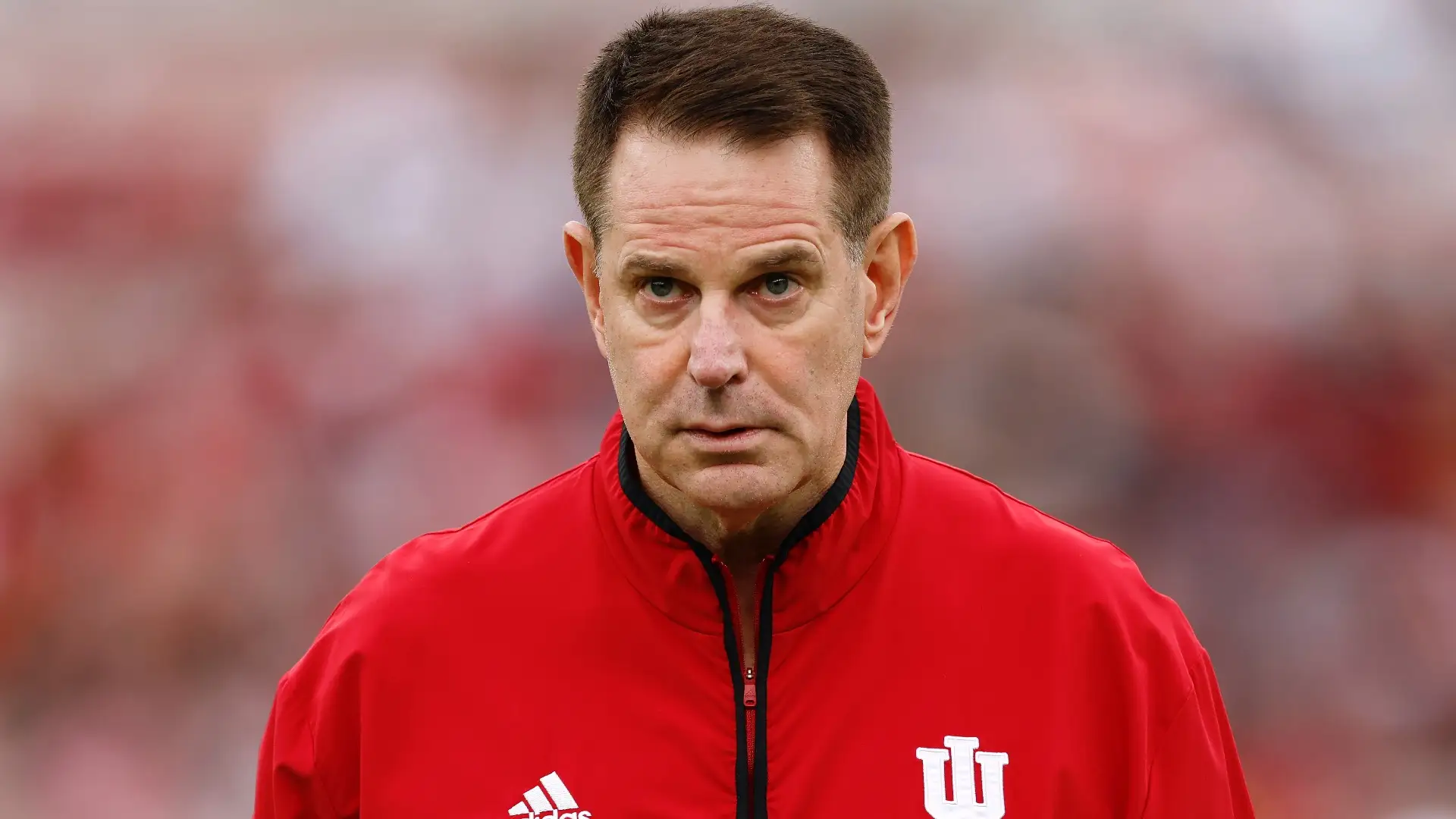Curt cignetti indiana hoosiers