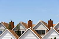 Houses rooftops200xx3860 2578 0 0
